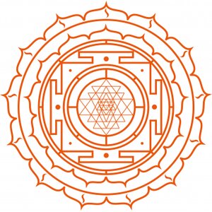 Pilates Studio To Flow logo