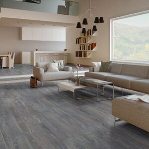 Dali Woningstoffering image 1