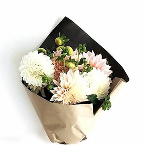 Pimpernel Bloembinderij image 2