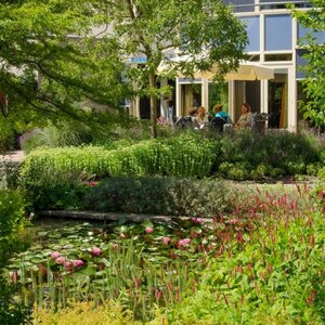 Stichting Hospice Dignitas image 2