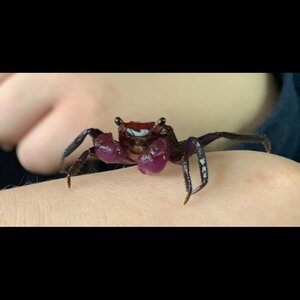 Aquariumworldonline image 1