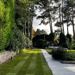 Jamo Tuinbedrijf image 6