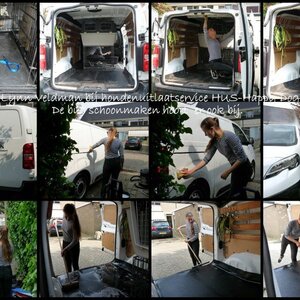 HUS-Happy Dog image 4