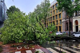 Storm in beeld: Poly zwaarste zomerstorm ooit gemeten