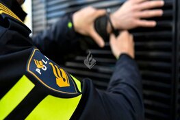 Man aangehouden op verdenking ontucht