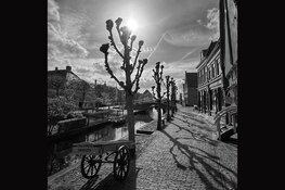 Smartphone fotografie in Uitgeest, Alkmaar, Zuiderzeemuseum en Broekerveiling