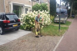 Wateroverlast in Heiloo door gesprongen waterleiding