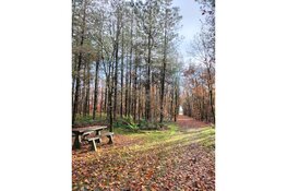 Samen een heerlijke boswandeling