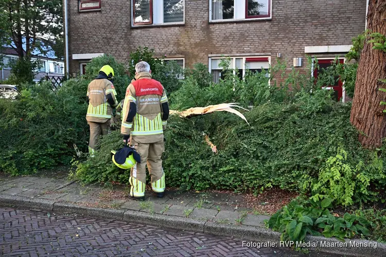 Tak belandt in tuin door storm