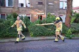 Tak belandt in tuin door storm