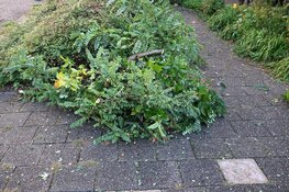 Tak belandt in tuin door storm