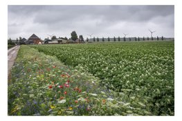 € 21 miljoen voor agrarisch natuurbeheer