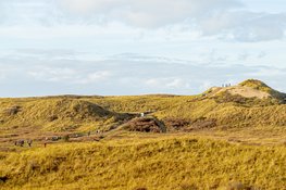 Succesvolle vijfde editie van de Pre-Run Egmond Halve Marathon