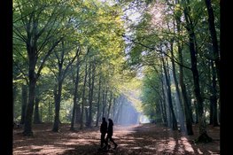 Natuurmonumenten organiseert inloopavond over toekomst Landgoed Nijenburg