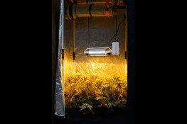 Criminelen misbruiken bedrijfspanden: bijeenkomst moet schade voorkomen