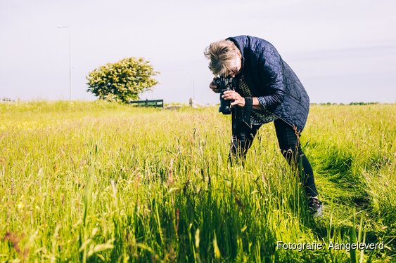 90 minuten met de boswachter: oernatuur van het Limmerdie