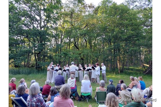 Doulce Memoire Midzomerbosconcert landgoed Nijenburg 22 juni 2026