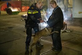 Politiehonden oefenen met vuurwerk