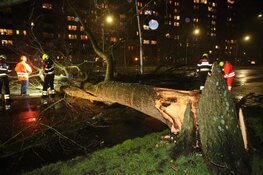 Zondagse storm Ciara houdt Nederland in greep (fotoalbum)