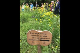 Ga mee op Wijksafari in de gemeenten Bergen, Castricum en Heiloo