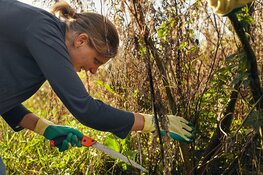Twintigste Natuurwerkdag gaat in Noord-Holland niet door