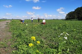 Betrekken bij Groenfonds vanaf 1 februari open voor groene initiatieven