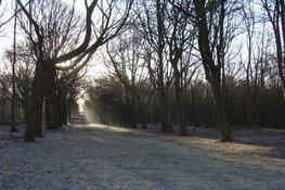 Aantrekkelijkheid landgoed Nijenburg verloren bij sluiting spoorwegovergangen