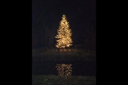 Kerstlichtjes op landgoed Nijenburg