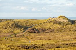 Geslaagde eerste editie Pre-Run NN Egmond Halve Marathon