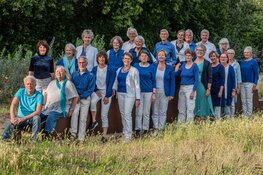 Vrijheidsconcert koor sWing