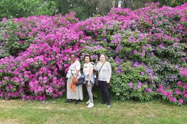 Succesvolle wandelgroep Heiloo Ontmoet verkent Heiloo