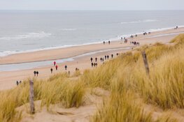 Egmond Wandel Marathon beleeft sfeervolle en frisse 18e editie