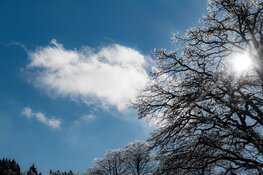 Komende week regelmatig zonneschijn met frisse nachten