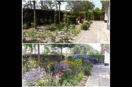 De nieuwe BioBorder Geur en Kleur: voor bijna elke tuin