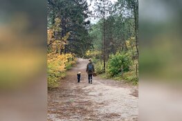 Walking Moms: wandelen met andere moeders