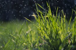 Lente blijft wisselvallig